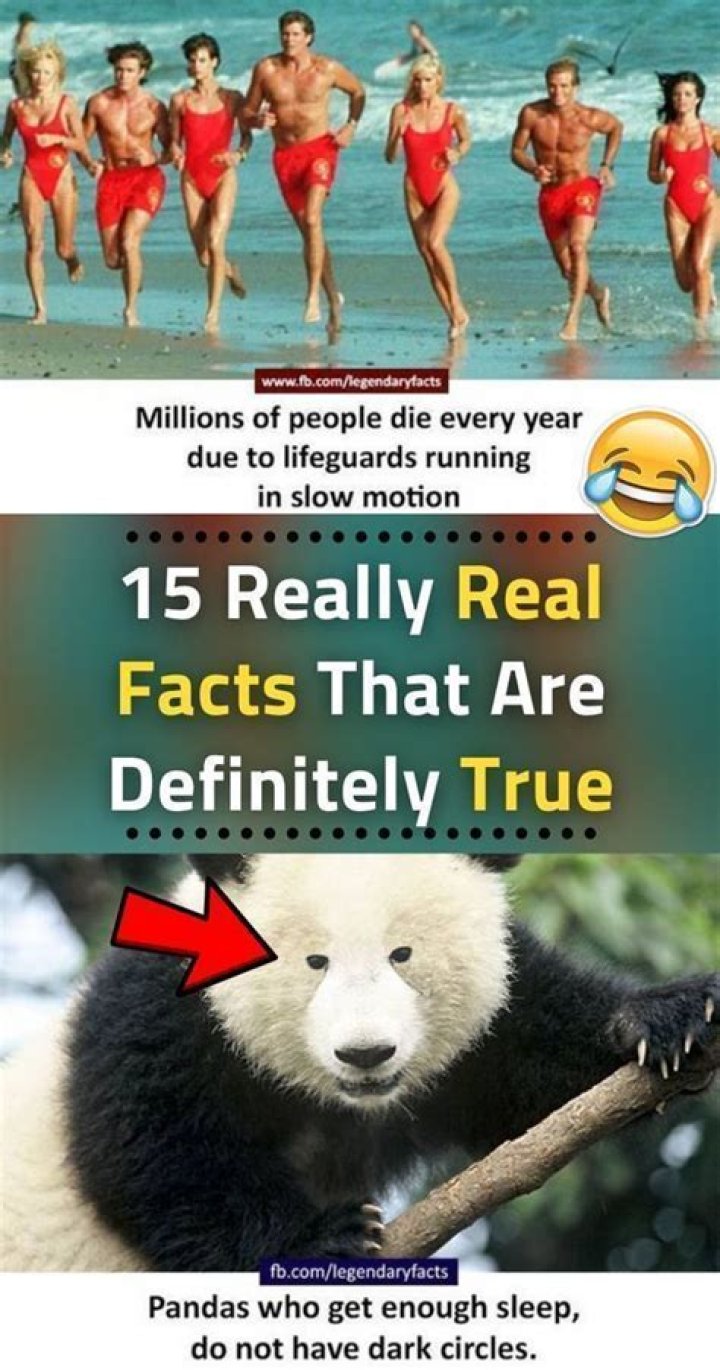 15 Facts About The Real War Dogs Efraim Diveroli & David Packouz