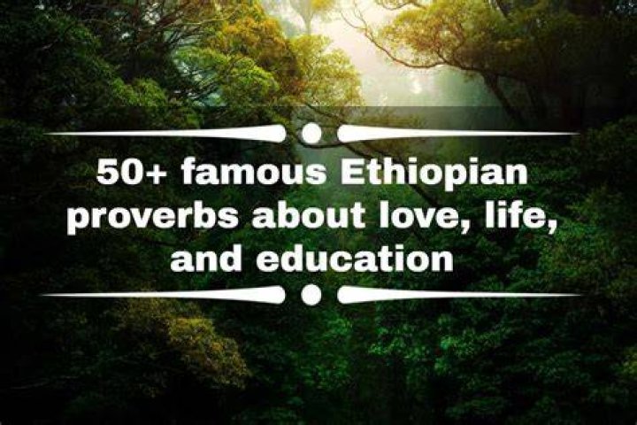 50+ famous Ethiopian proverbs about love, life, and education Tuko.co.ke