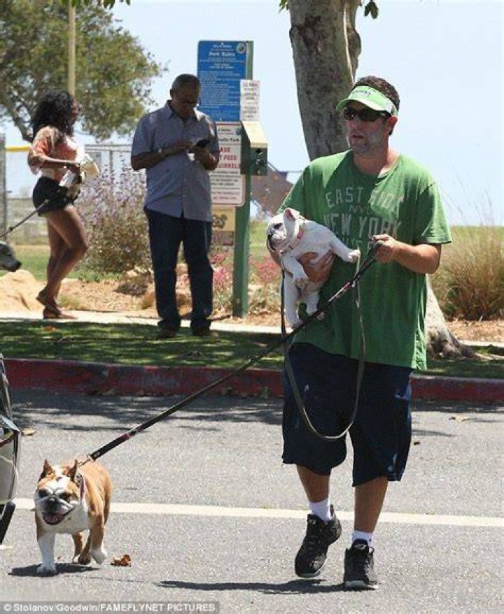 Adam Sandler debuts new puppy companion for his beloved pet bulldog