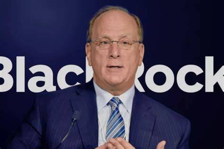 Blackrock CEO Larry Fink Sees Global Demand and &lsquo;Pentup Interest in