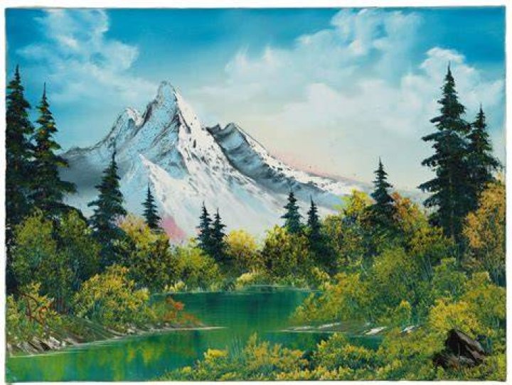 Bob Ross' son Stephen Ross reveals legendary painter's cause of death