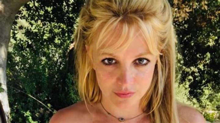 Britney Spears Bares Cheeky Side in Racy Beach Photo (Not Safe for Work)