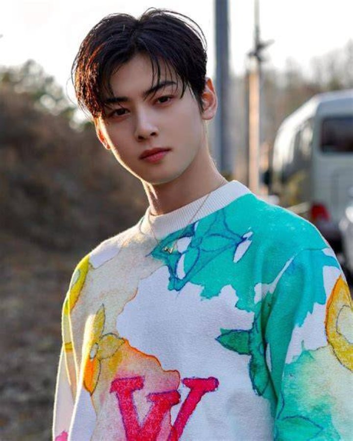 Cha EunWoo AsianWiki