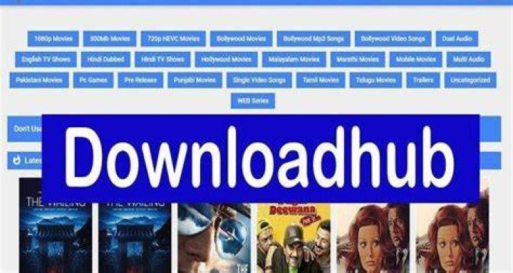 DownloadHub Download Top Best 300MB Dual Audio Movies, Hindi, Punjabi