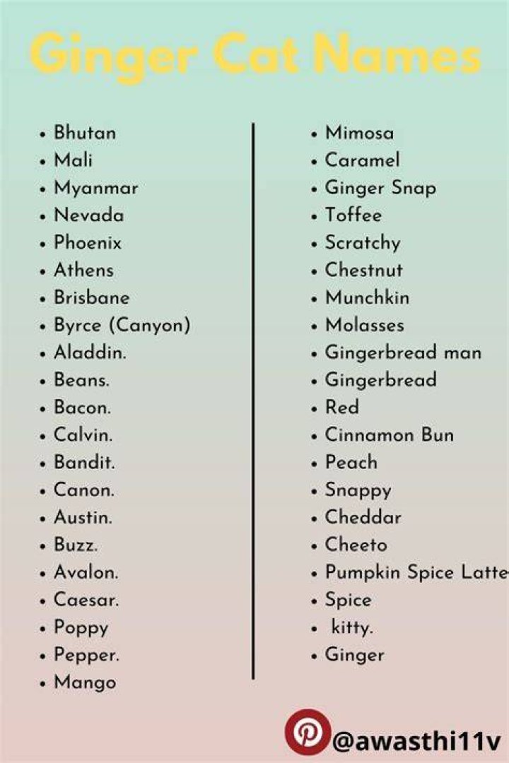 Ginger cat names to help you choose a name for your new feline family