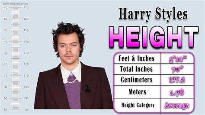 Harry Styles Height How Tall Is The English Singer? Hood MWR