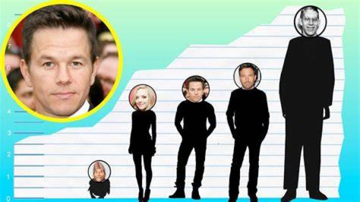 How Tall Is Mark Wahlberg? Height Comparison! YouTube