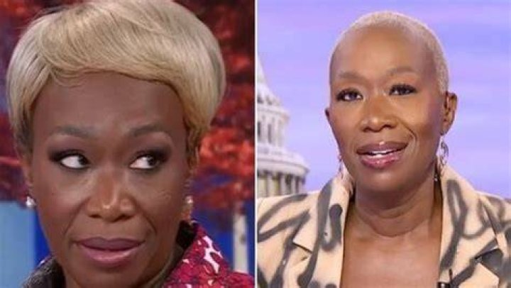 Joy Reid Interesting Things About the Political Host ReelRundown