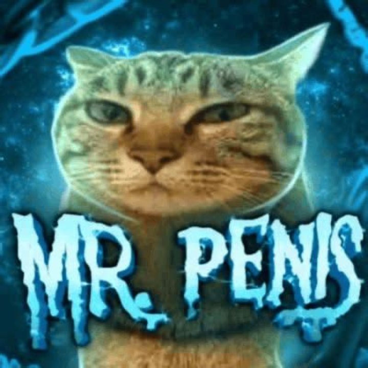Mr. Peen's 2021 Calendar Funny Peen Calendar Mature Etsy