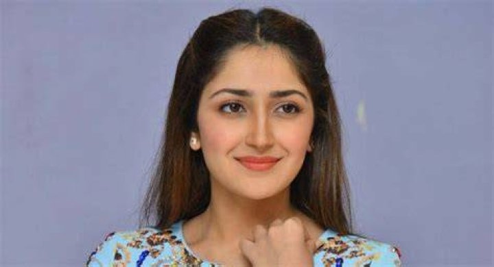 Sayyeshaa Saigal The Story Behind The Height, Weight, Age, Career And