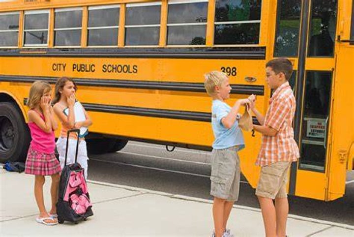 School Bus Bully Caught On Video