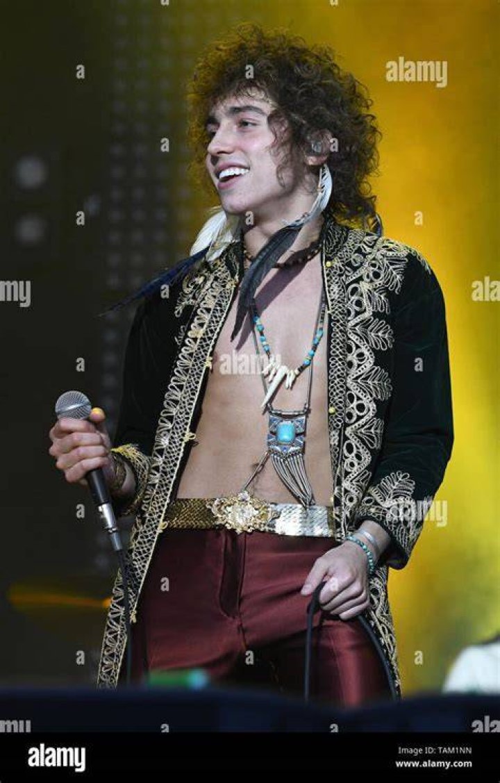 Singer Josh Kiszka is shown performing on stage during a live concert