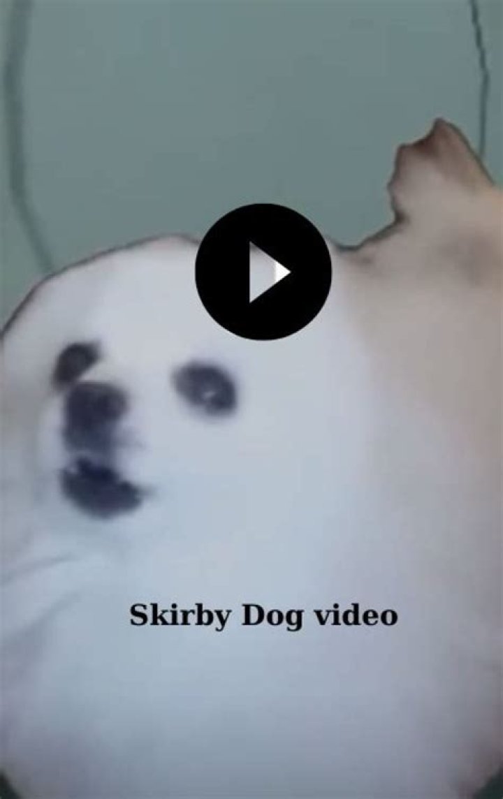 Skirby dog video , skirby dog video leak , skirby dog video twitter