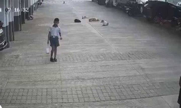 Startling CCTV Footage Captures Unsettling Interaction Between Child
