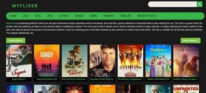 The Ultimate Guide to Myflixer