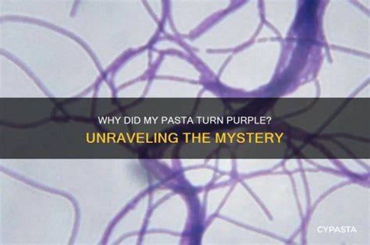 Unraveling The Mystery Why Did Nick And Zoe Break Up In 2024?