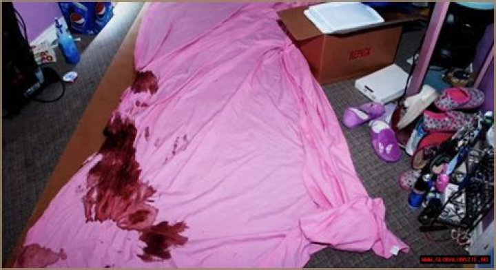 Unveiling The Truth Gypsy Rose Blanchard Released Crime Photos