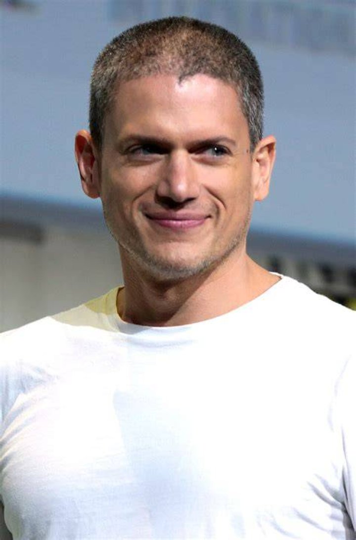 Wentworth Miller (Wentworth Earl Miller II) Wiki/Bio, Wife, Movies