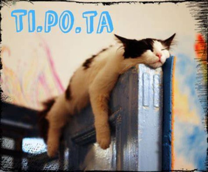 WHAT IS Ti.Po.tA???? Manu